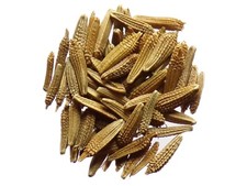 Pissenlit Dent de Lion Bio - Taraxacum Officinalis L. - SEM02