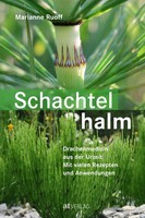 Schachtelhalm Drachenmedizin Aus Der Urzeit. Mit Vielen Rezepten Und Anwendungen