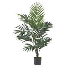 5' Kentia Silk Palm Tree