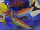 Bild 8 von 9