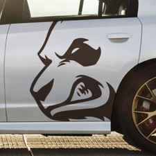 Angry Growling Panda Bear Side Vinyl Vehicle Graphic Decal Car Bed Truck Pickup 