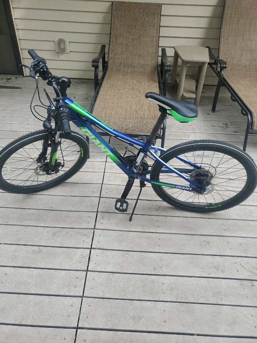 Green and blue bike hot sale