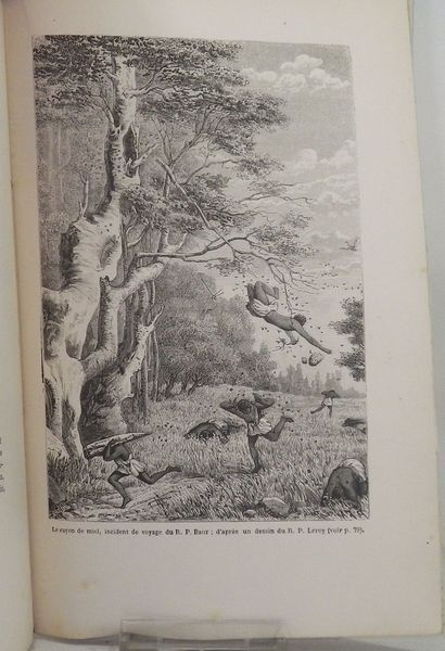 Picture 7 of 9