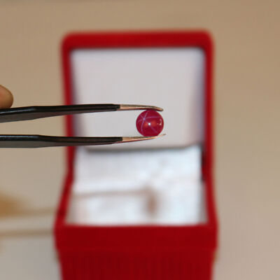 Natural 6 Rays Red Star Ruby 2.7 Ct. Round Cabochon Loose Gemstone STR-280