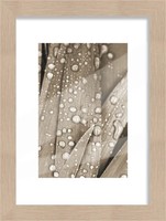 Bilderrahmen Holz Luzern Eiche 15 X 21 Cm Bilderrahmen