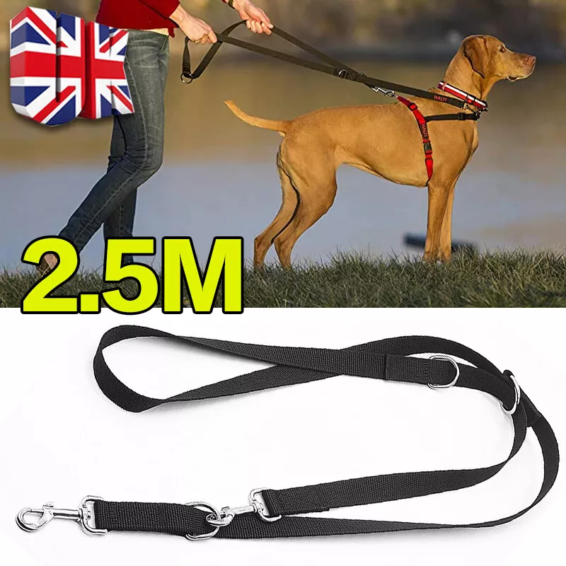 Dog training store leads uk