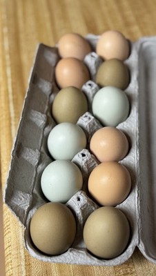 Easter Egger Hatching Eggs, Assorted Colors