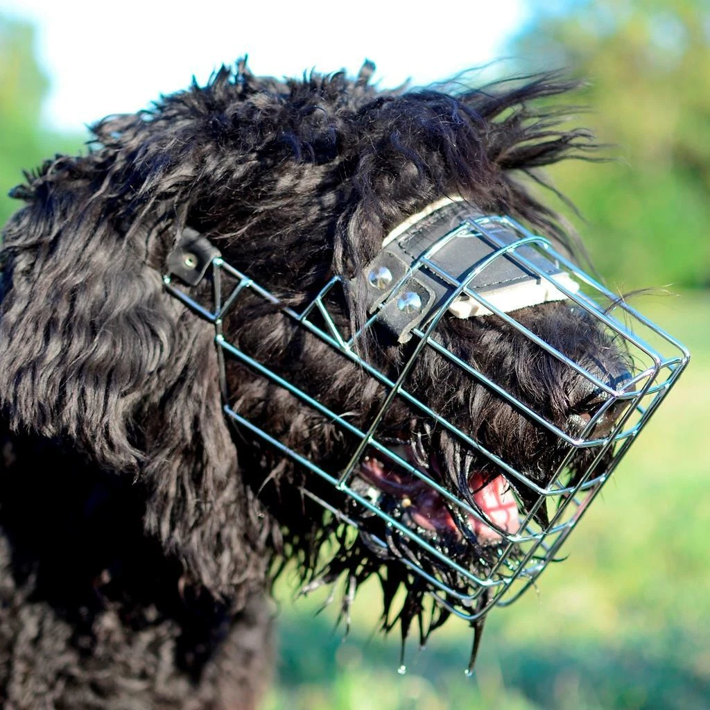 Russian dog clearance muzzle
