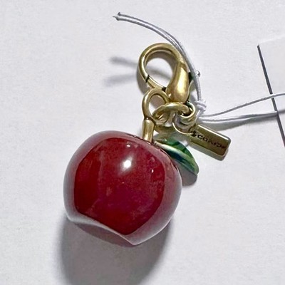 Nwt Coach mini DIY Apple charm CCX70 | eBay