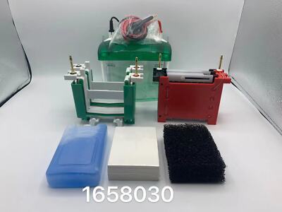 BioRad Mini-PROTEAN Vertical Electro Cell 4-gel Mini Trans-Blot #1658030 Equival