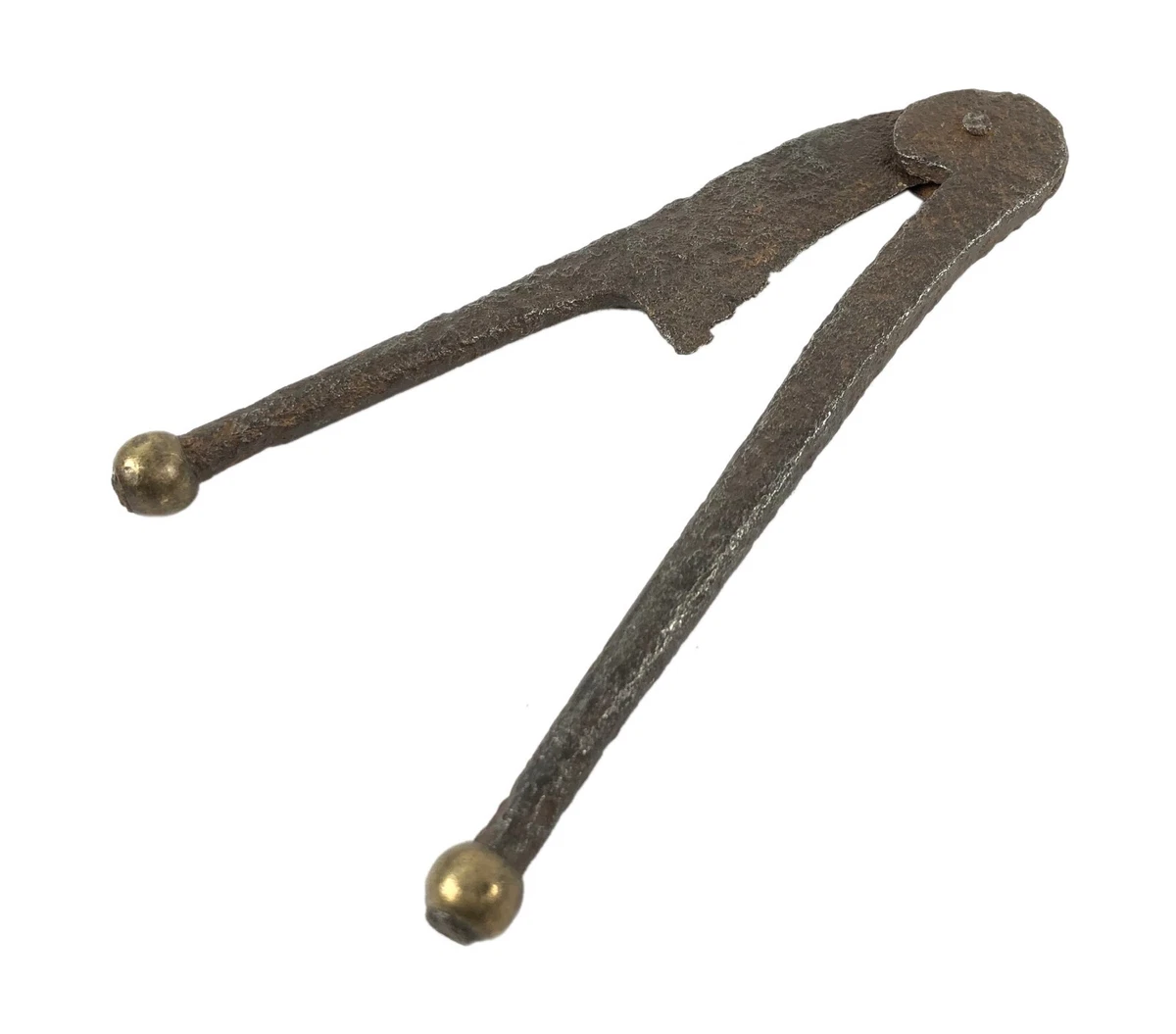 Palm cutter online