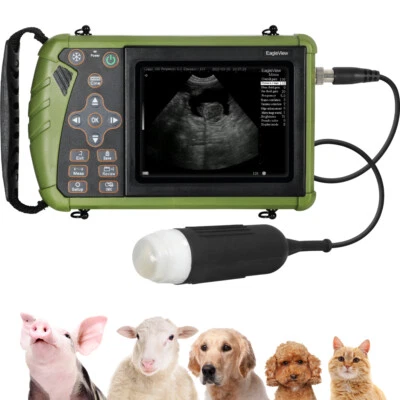 DAWEI Veterinary Ultrasound Machine - Pregnancy Detection In Dogs, Pigs, Goats, Sheep