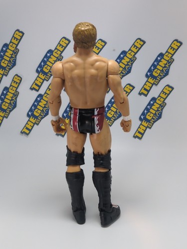Figura de acción de lucha libre Mattel WWE 2012: Daniel Bryan Basic Series 35 - Imagen 3 de 4