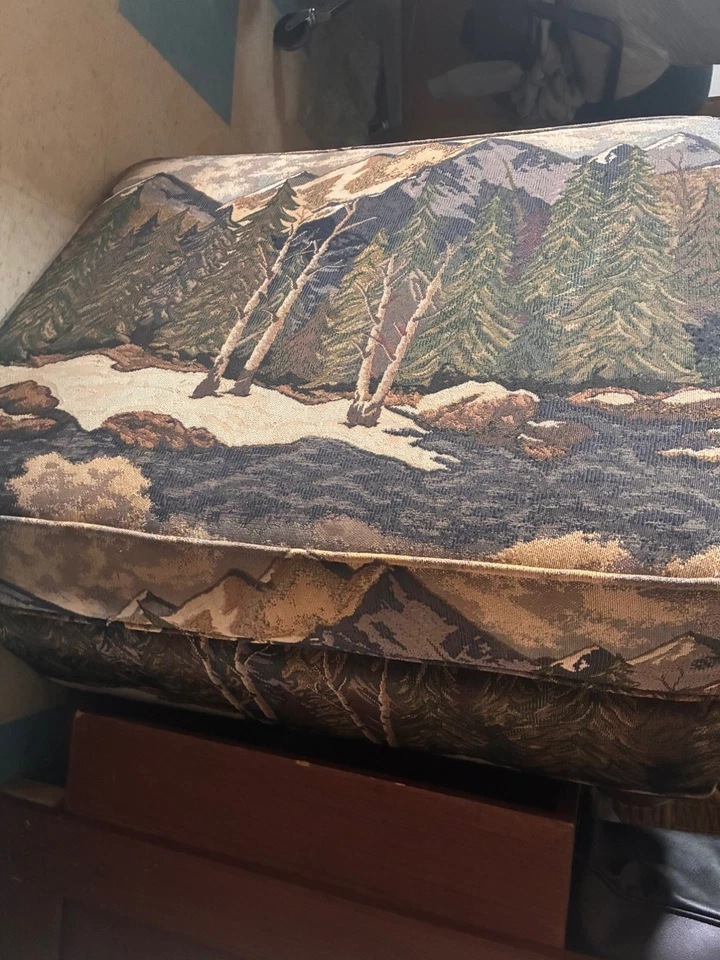 PAR de sillas tapices rústicas Lodge y medio sillones de gran tamaño con reposapiés Foto 4 de 4