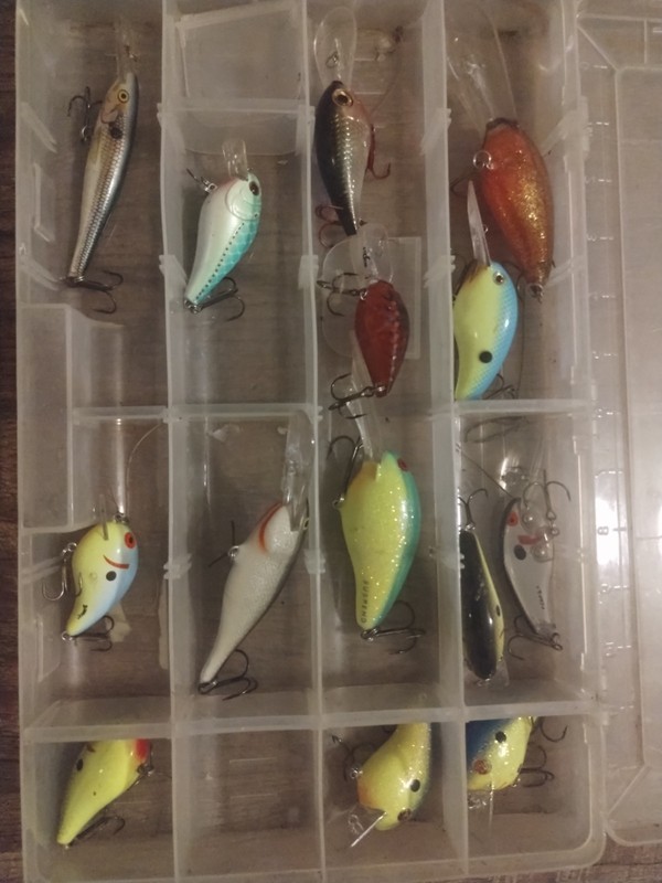 A Great Combination Some of The Best Bass Fishing Crankbaits and More Lot 14 PCS