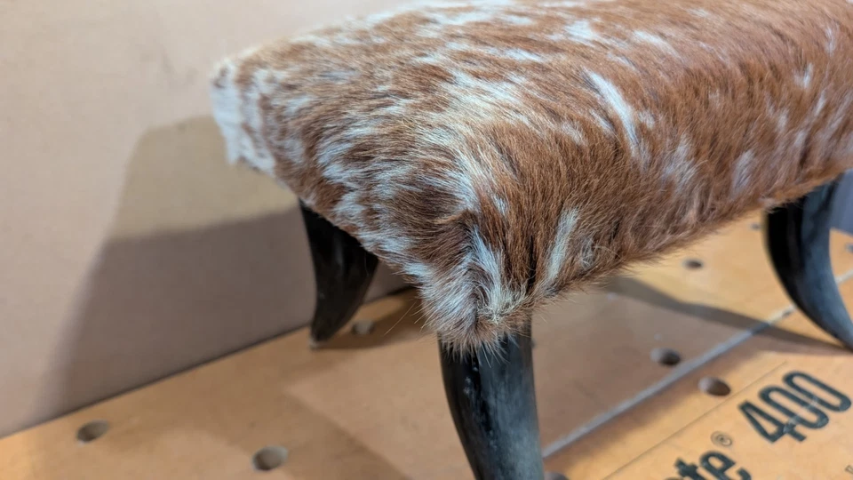 Винтажный ручной работы воловья кожа и рог ноги табурет 15 1/4 «Lx 9 1/2» w x 9 3/4» h - Изображение 3 из 4