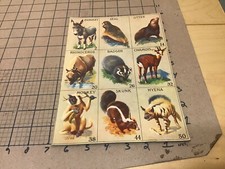 original 9 Animal card - 7x10 donkey seal otter rhinoceros badger chamois hyena