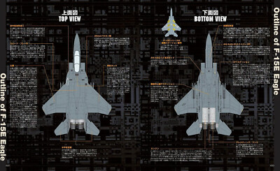 F-15 Eagle Enlarged Revised Edition Military Aircraft of The World