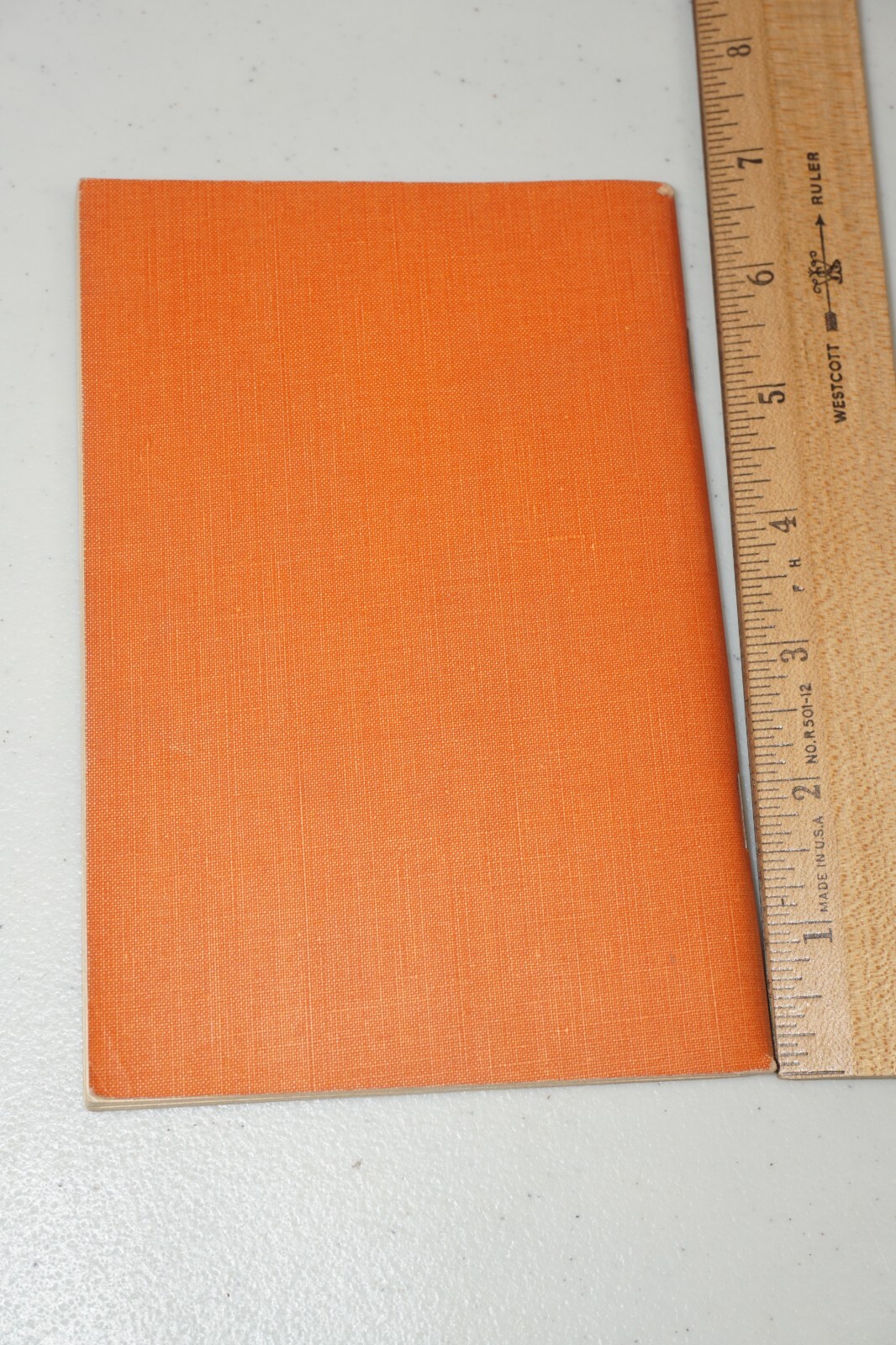 Picture 4 of 8