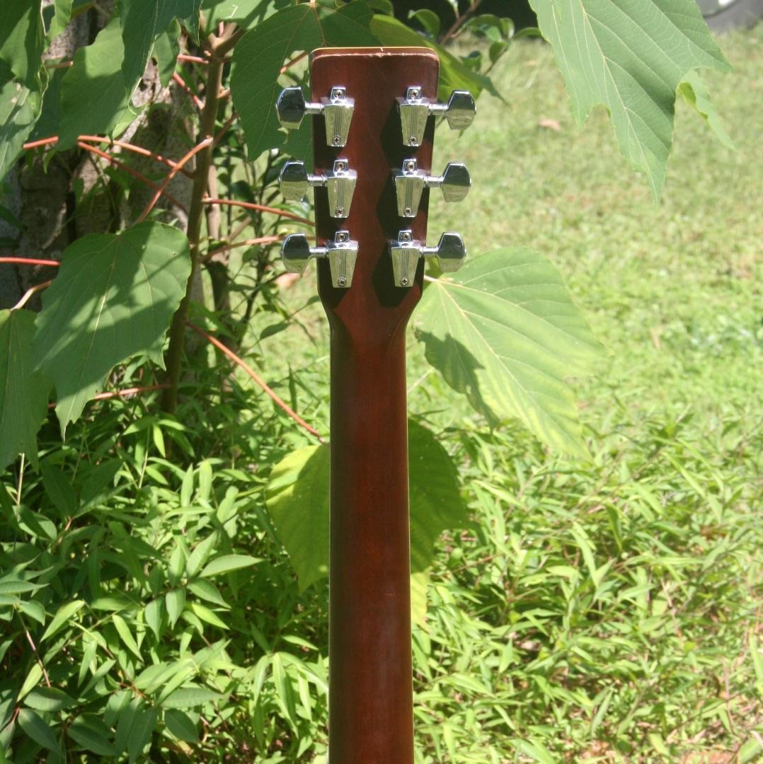 Acoustic Guitar Roje RF300 Natural 1975 Made in Japan Solid Spruce