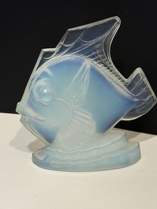 Sabino Fish | eBay