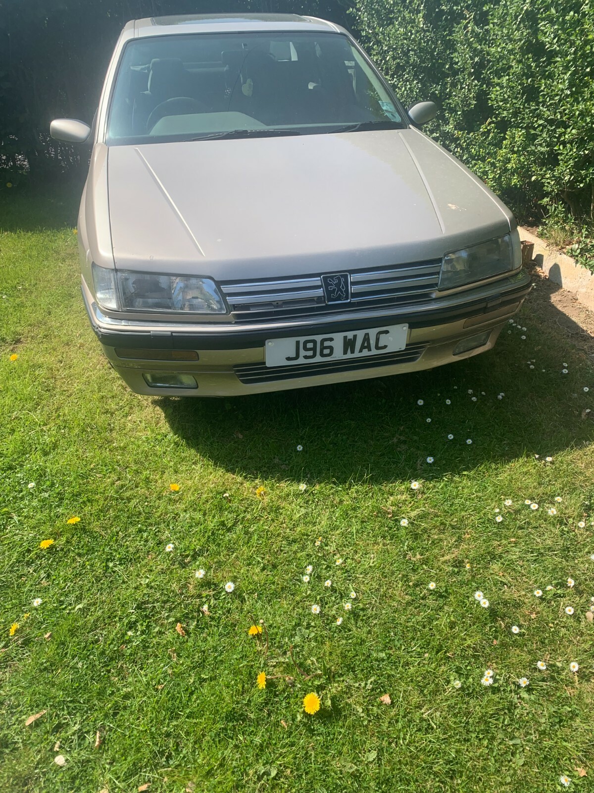 Image 5 - Very rare peugeot 605sv auto 12 months mot