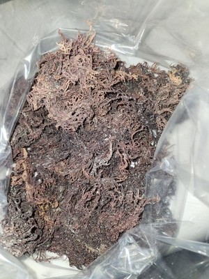 Purple SeaMoss Dry/dehydrated 1LB To 3LB Raw Wildcrafted All Natural   