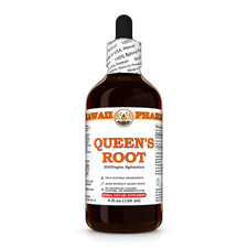 Queen's Root Stillingia Sylvatica Dried Root Liquid Herbal Extract