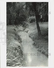 1981 Press Photo Flooded Cedars East creek - lra67903