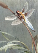 Dragonfly Tree-Free Greetings Sympathy Card