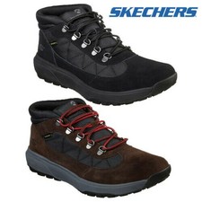 55487 skechers