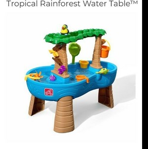 step2 rainforest