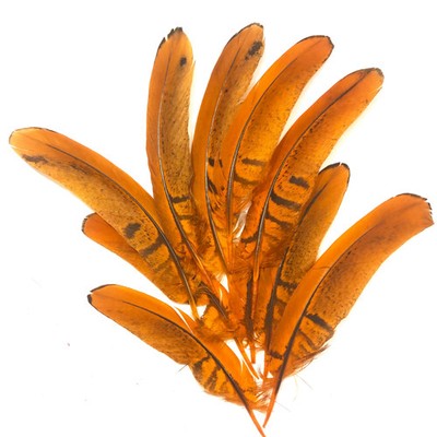 Under 6'' Reeves Pheasant Tail Feather x 10 pcs - Orange