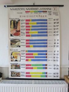 Protein Nutrition Chart