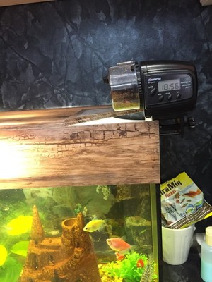 pet fish accessories