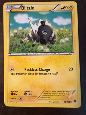 Blitzle 48/122 Breakpoint Regular
