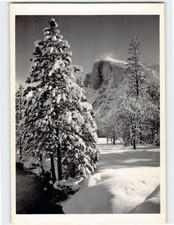 Postcard Half Dome Tree Winter Yosemite National Park California USA