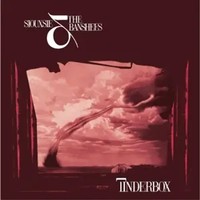 Tinderbox (Expanded Edition) | Siouxsie And The Banshees | Audio-Cd | CD | 2009