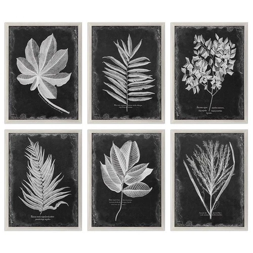 Uttermost Foliage Plastic Glass and Wood Framed Prints in Multi-Color (Set of 6) - Picture 1 of 9