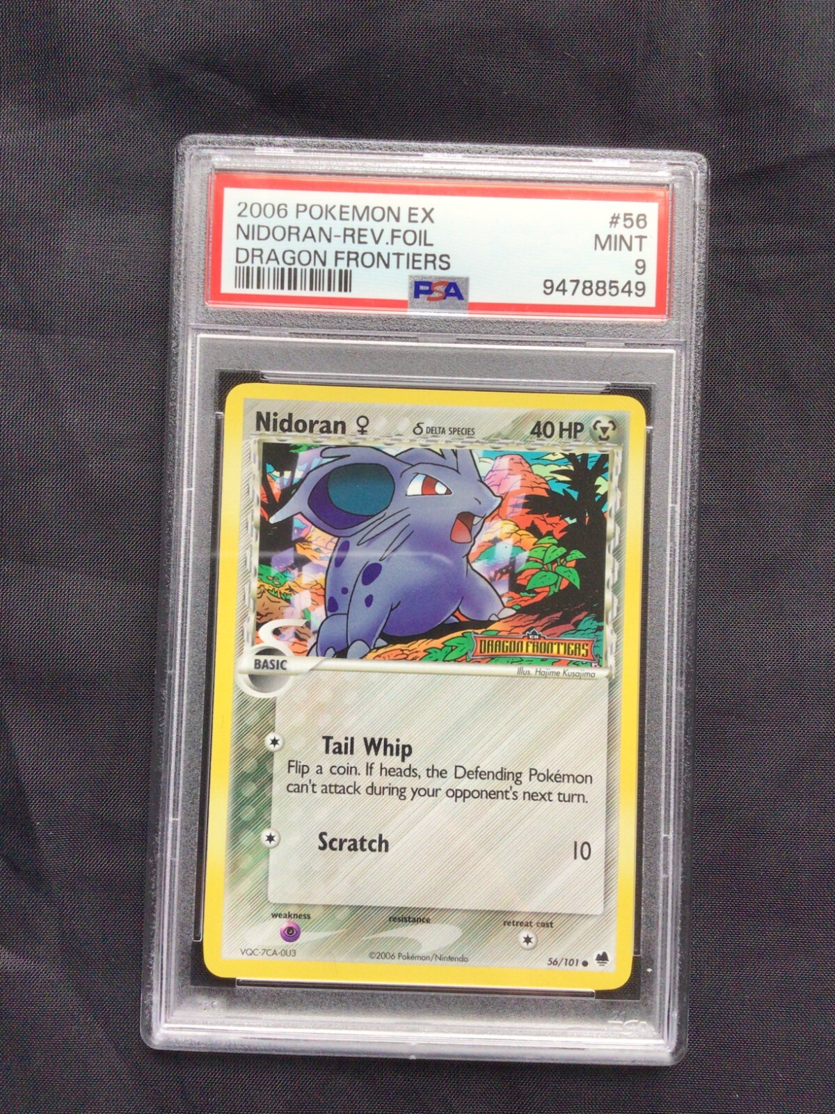 Picture 1 of 6