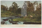 Australia NEW SOUTH WALES NSW River & Dairy Farming Art Series postcard c1905