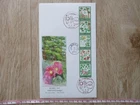 Japan Stamp First Day Cover FURUSATO Stamp (国土緑化) Large format 2023