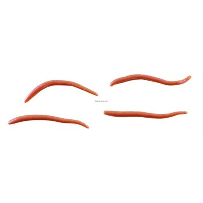 Berkley Gulp! Alive! Angle Worms - Redworm 1-Inch Panfish & Trout Bait (2.1oz Jar)