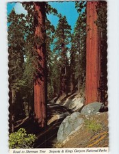 Postcard Sequoia and Kings Canyon National Park California USA
