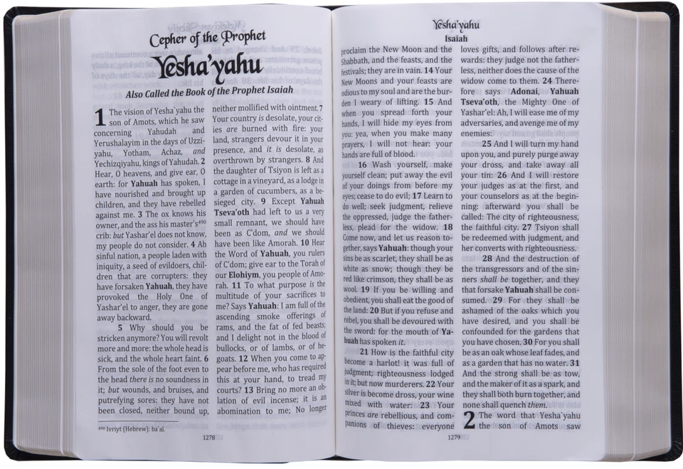 Cepher - LARGE PRINT soft cover - Image 4 of 4