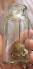 Antique Clear Glass Bottle Wire Applicator Dauber Glue Liquid Shoe Polish  — photo 4