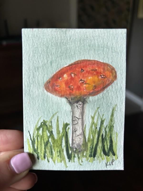 ACEO Original Mushroom Nature Watercolor 2.5x3.5 by Katie Love-Pride