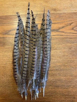 Natural Pheasant Feathers 16-18'' Male Feather Tails 20pcs
