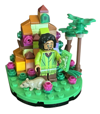 LEGO Disney Enchanto Scene Bruno Madrigal Minifigure, Magic of Disney 21352 Idea