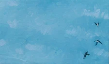 Swallows in Flight in Blue Sky Painting  Oil on Canvas Bird Art Sky Birdwatching